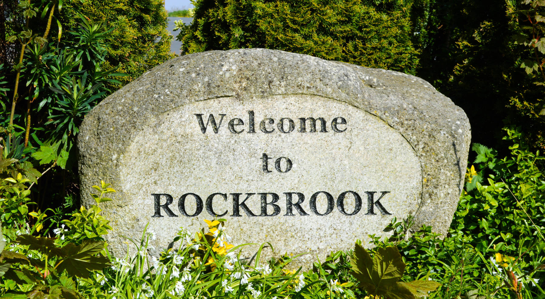 Rockbrook Park School campus image 5